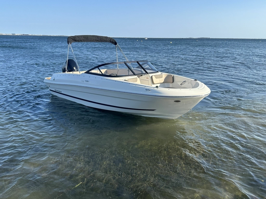 Boat bayliner-vr4